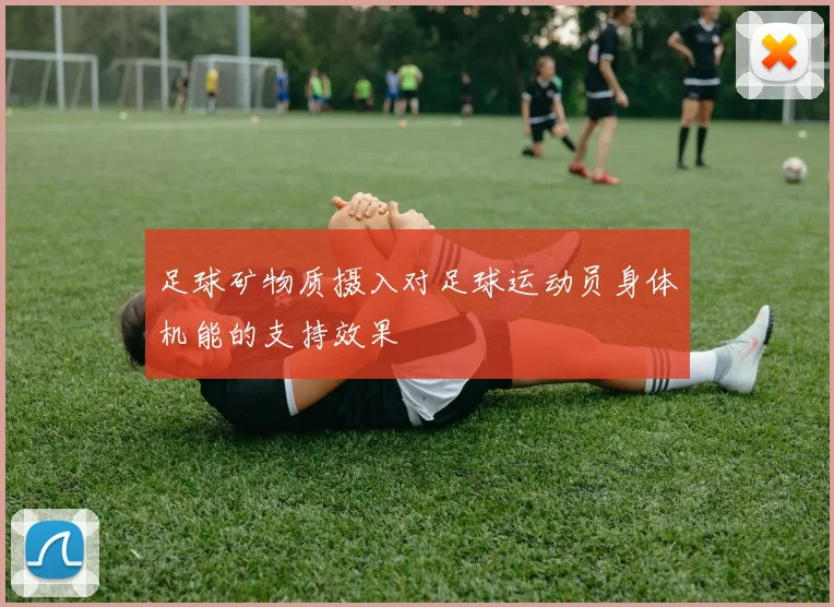 足球矿物质摄入对足球运动员身体机能的支持效果