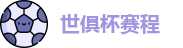 2025足球世俱杯官网